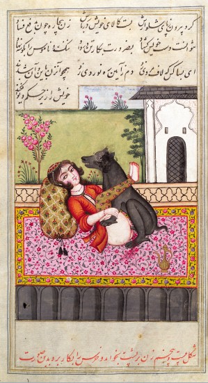 15th century Iran.jpg