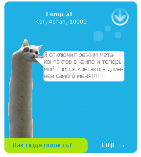 Longcat qip.png