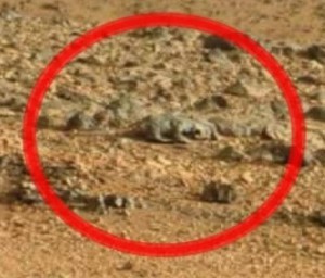 Mars-artefact-lizard.jpg