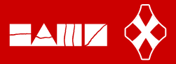 Логотип движения Наши.png