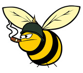 Fat bee.jpg
