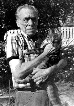 Bukowski cat.jpg