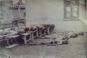 Armenian genocide.jpg