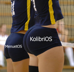 KolibriOSvsMenuetOS.png