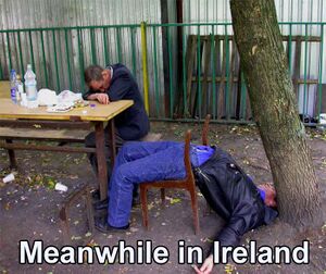 Meanwhile in Ireland.jpg
