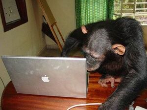 AppleUser Monkey.jpg
