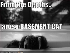 Basement-cat-depths.jpg