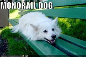 Monoraildog.jpg