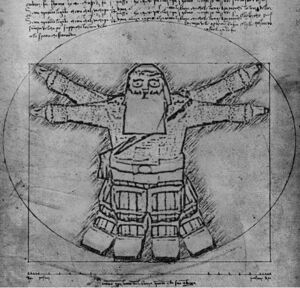 Vitruvian gnome.jpg