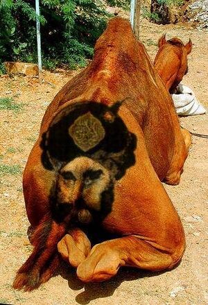 Mohammed camels ass.jpg