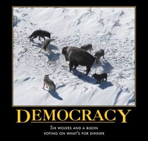 Democracy.jpg