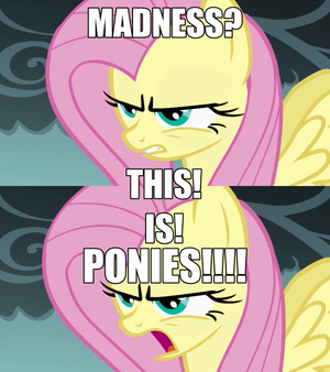 MLP GlobalMemes 077.png