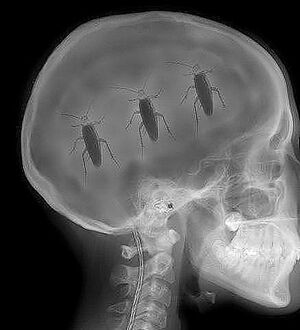 Тараканы в голове.jpg