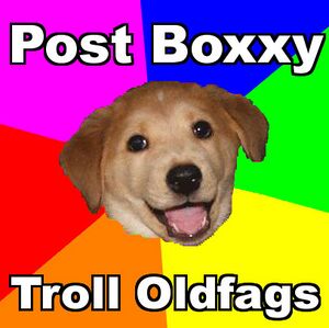 Boxxy advice dog trolling.jpg