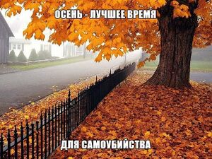 Macro autumn.jpg