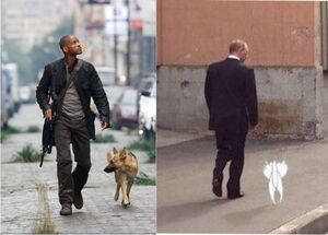Putin&Cat.jpg