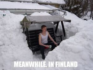 Meanwhile in Finland.jpg