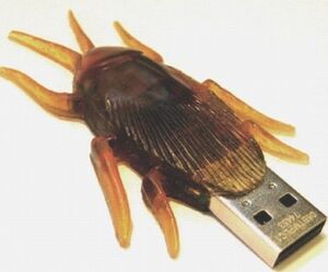 Cockroa.jpg