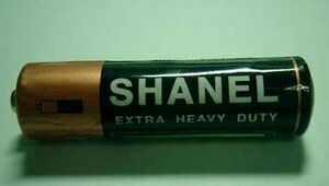 Shanel bat.jpg
