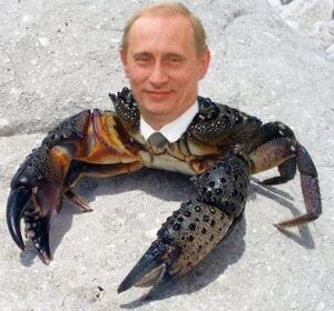 Putin is a crab 3.jpg