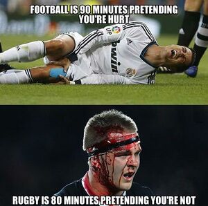 Rugby-football.jpg
