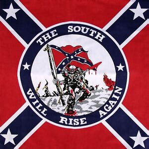 The south will rise again3.jpg