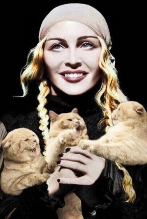 Madonna-kittens.jpg