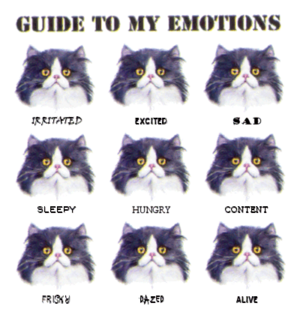 Guide to my emotions.png