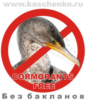 13 cormorantsfree.jpg