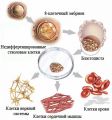 Миниатюра для версии от 12:58, 17 марта 2022