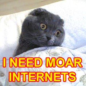 Happycat Moar Internets.jpg