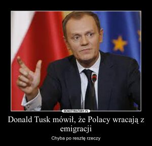 Tusk.jpg