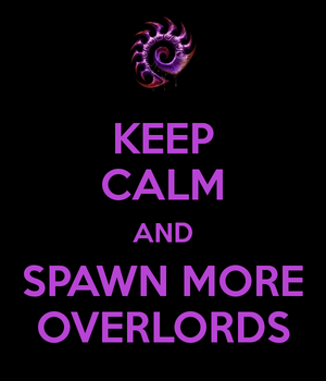 Keep-calm-and-spawn-more-overlords-12.png