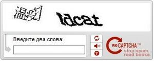 Recaptcha.jpg