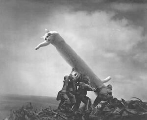 Longcat Iwo Jima.jpg