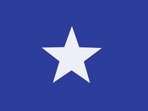 Bonnie blu flag.jpg