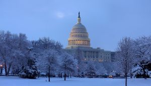 Washington winter2.jpg
