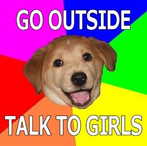 Advice dog go outside.jpg