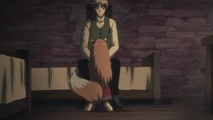 Spice and Wolf - 08 - Large 17.jpg
