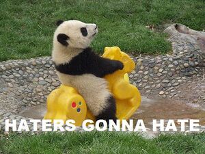 Haters gonna hate panda.jpg