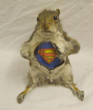 Bad taxidermy 27.png