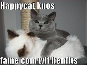 Happycat knos fame com wit benefits LOLCAT.jpg