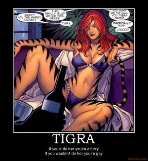 Tigra-furry-gay-test.jpg