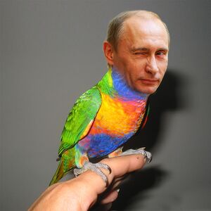 Putin popugaj.jpg