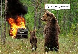 Fire bear.jpg
