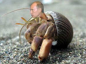 Putin is a crab 4.jpg
