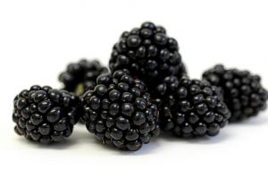 Blackberry sort.jpg