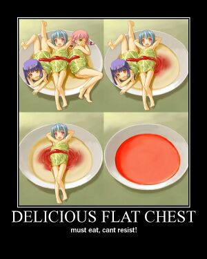 Flat chest 1.jpeg