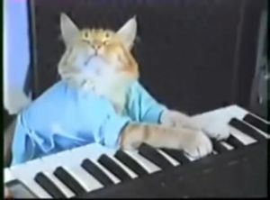 Keyboardcat.jpg