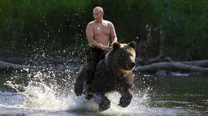 Putin bear cavalry.jpg